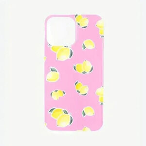 Iphone 13  pro max case